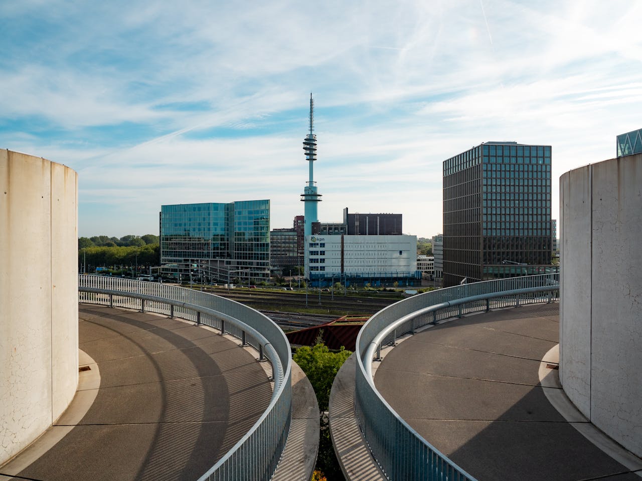 pexels-photo-28102792